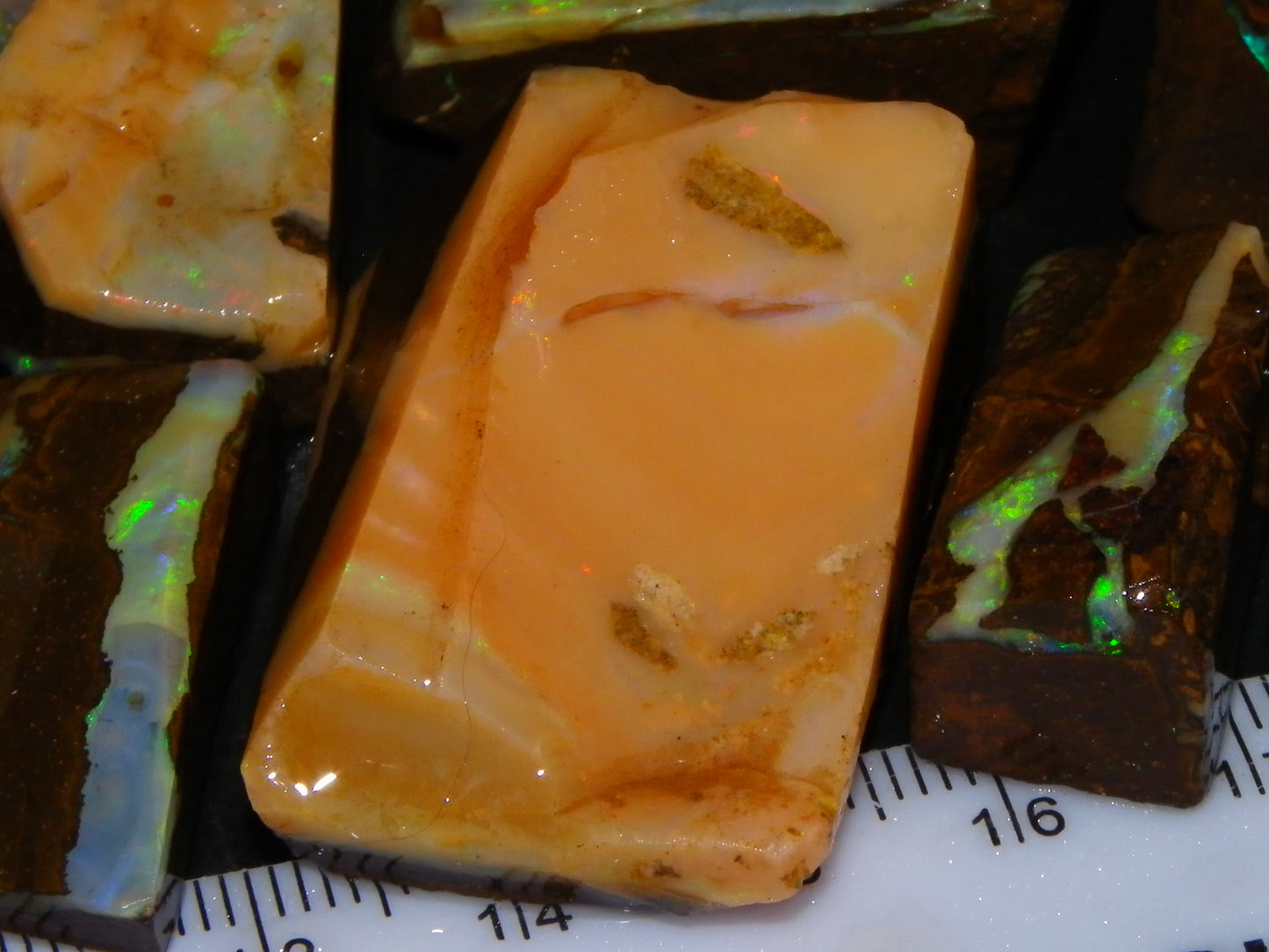 Nice Rough/Rubbed Boulder Opal Parcel 624cts Some Fires Caramel Potch/specimens