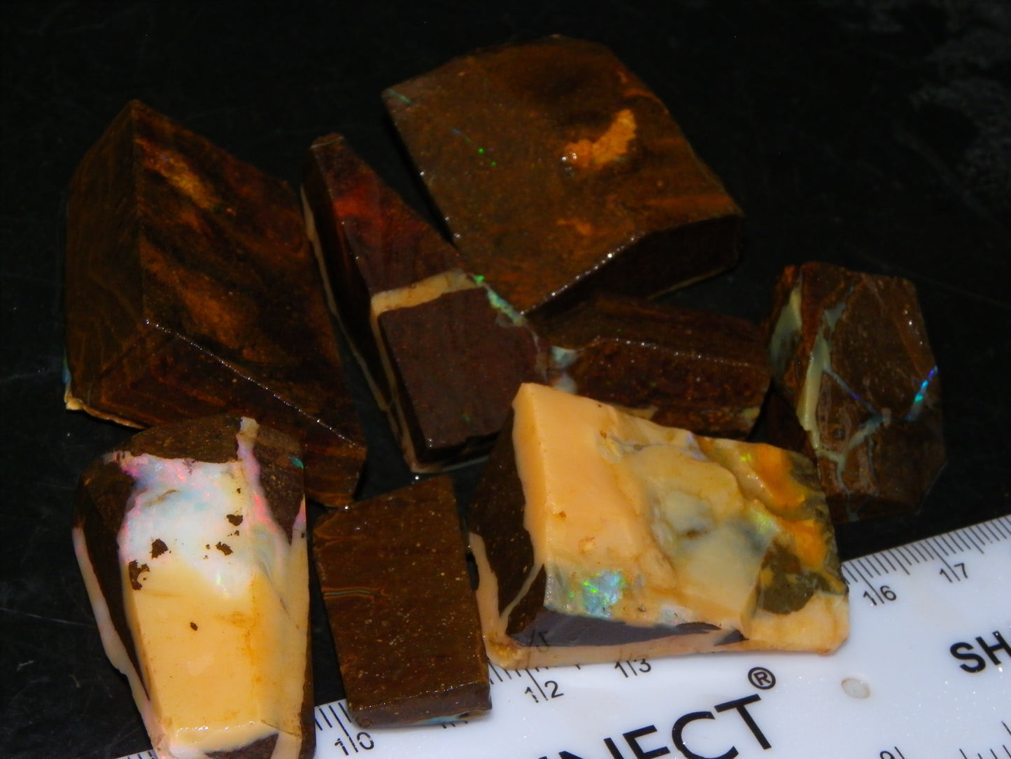 Nice Rough/Rubbed Boulder Opal Parcel 624cts Some Fires Caramel Potch/specimens