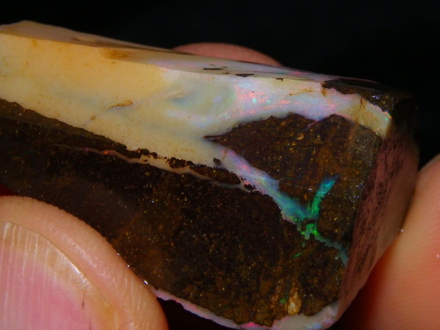 Nice Rough/Rubbed Boulder Opal Parcel 624cts Some Fires Caramel Potch/specimens