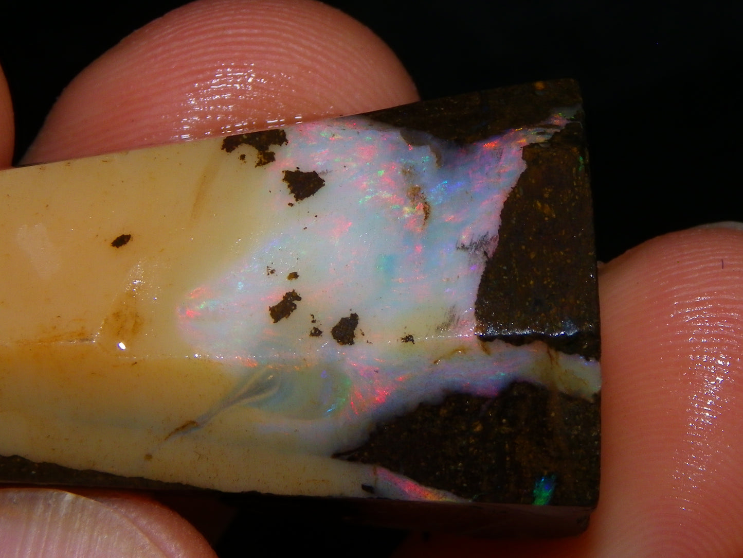 Nice Rough/Rubbed Boulder Opal Parcel 624cts Some Fires Caramel Potch/specimens