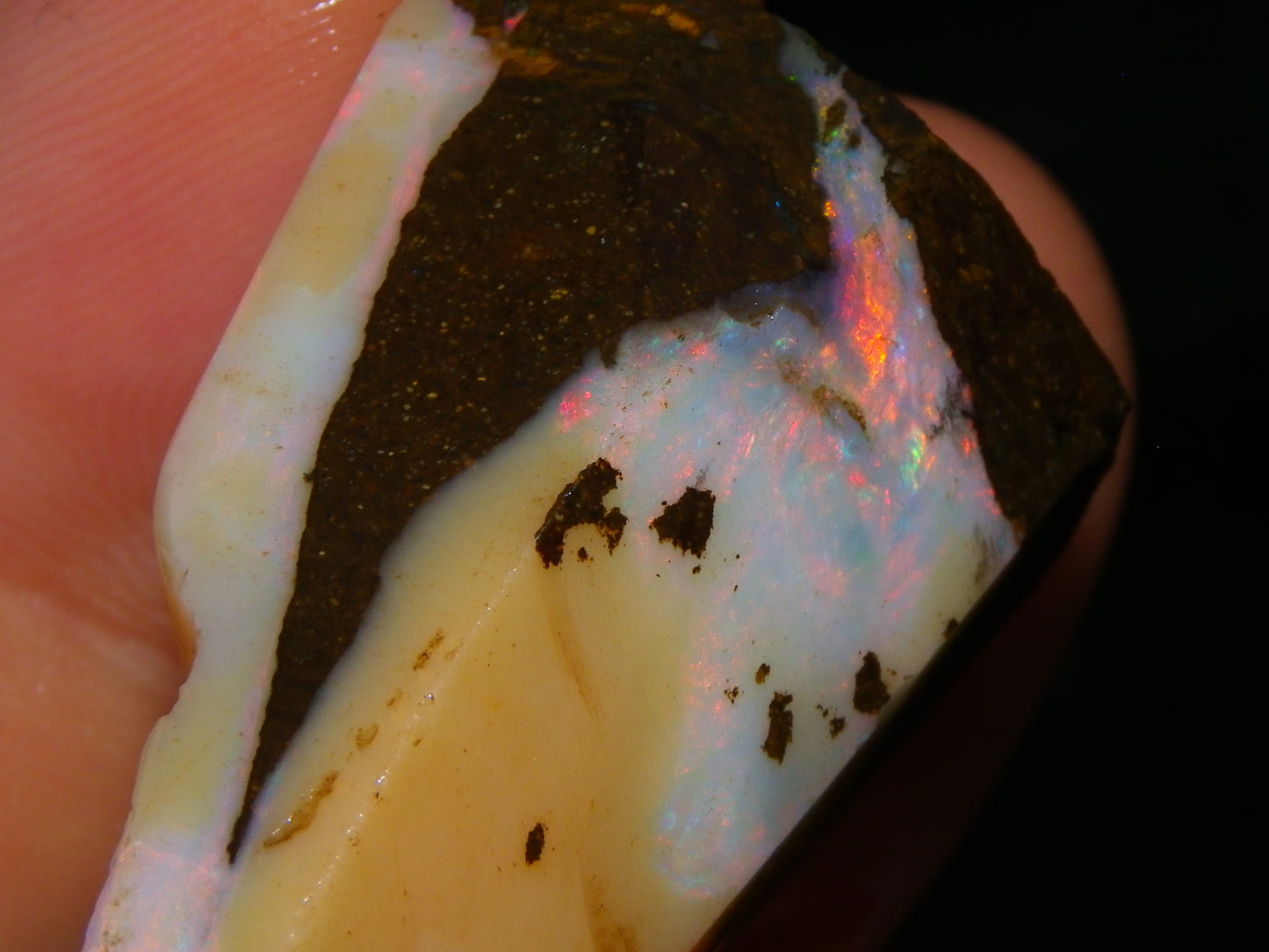 Nice Rough/Rubbed Boulder Opal Parcel 624cts Some Fires Caramel Potch/specimens