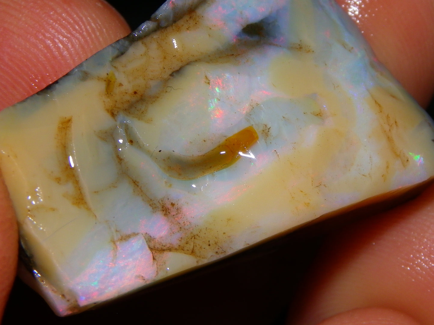 Nice Rough/Rubbed Boulder Opal Parcel 624cts Some Fires Caramel Potch/specimens