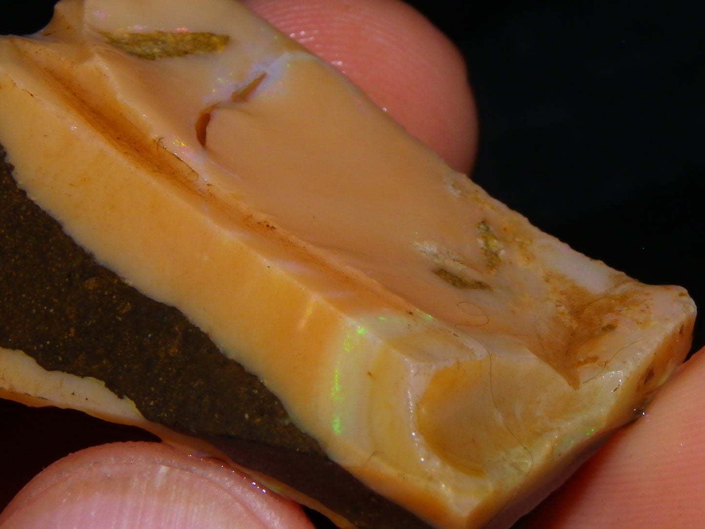 Nice Rough/Rubbed Boulder Opal Parcel 624cts Some Fires Caramel Potch/specimens