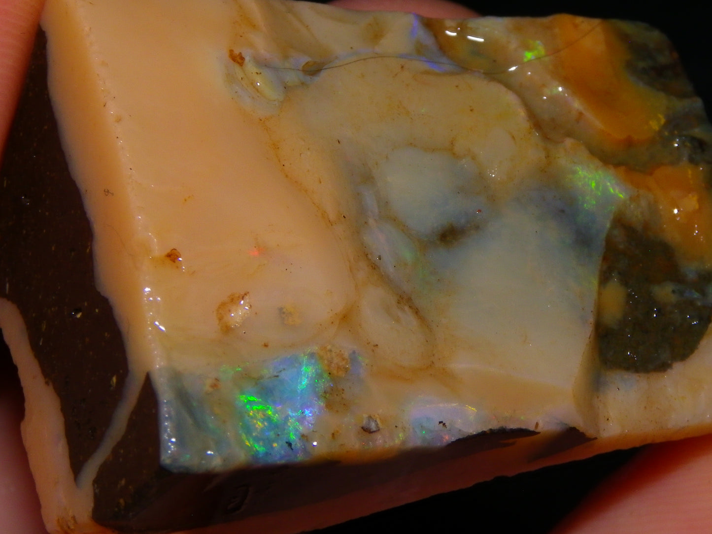Nice Rough/Rubbed Boulder Opal Parcel 624cts Some Fires Caramel Potch/specimens