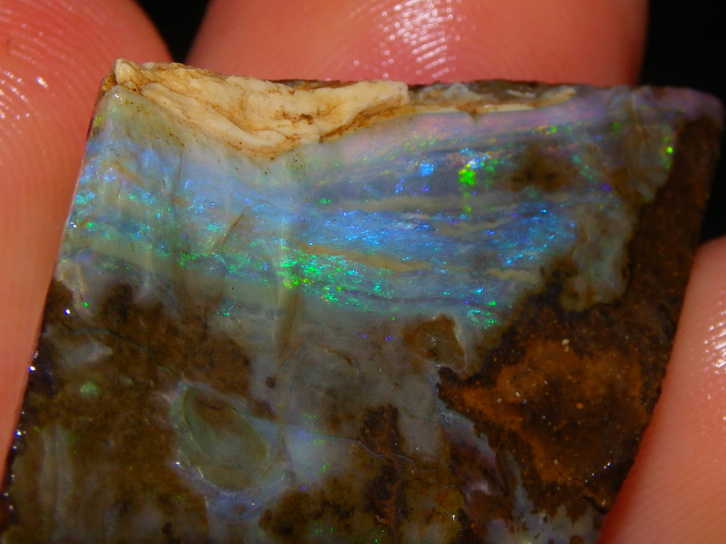 Nice Rough/Rubbed Boulder Opal Parcel 624cts Some Fires Caramel Potch/specimens