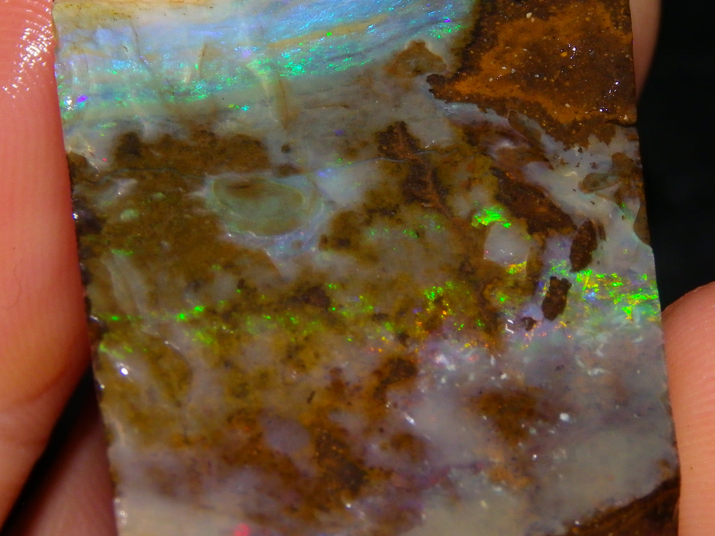 Nice Rough/Rubbed Boulder Opal Parcel 624cts Some Fires Caramel Potch/specimens