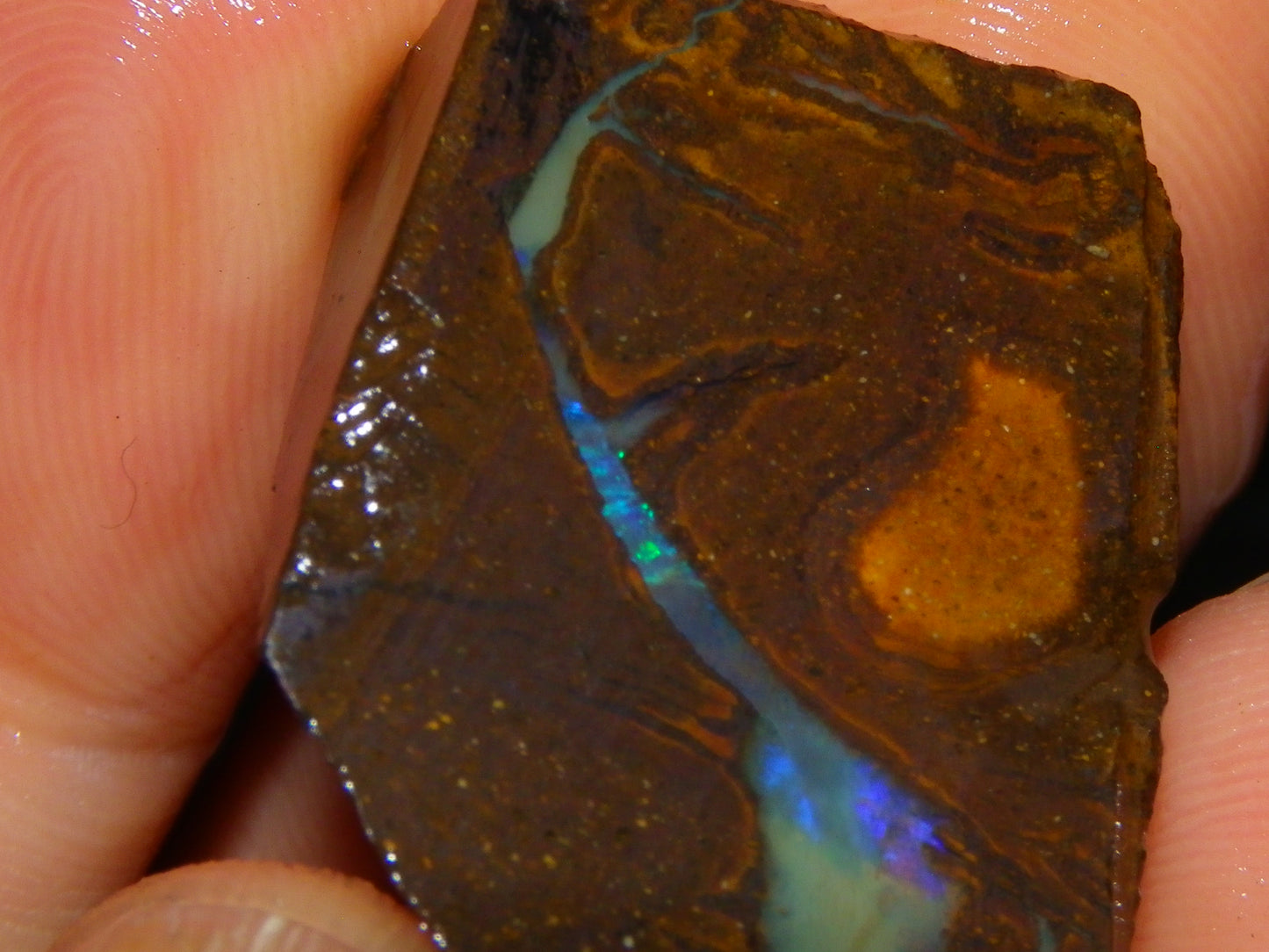 Nice Rough/Rubbed Boulder Opal Parcel 624cts Some Fires Caramel Potch/specimens