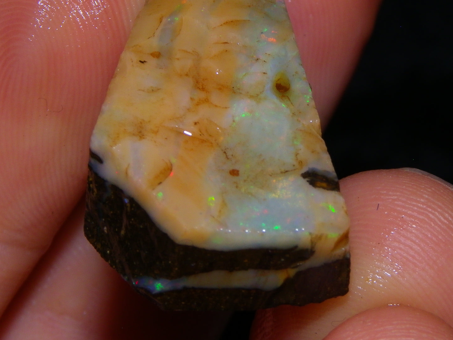 Nice Rough/Rubbed Boulder Opal Parcel 624cts Some Fires Caramel Potch/specimens