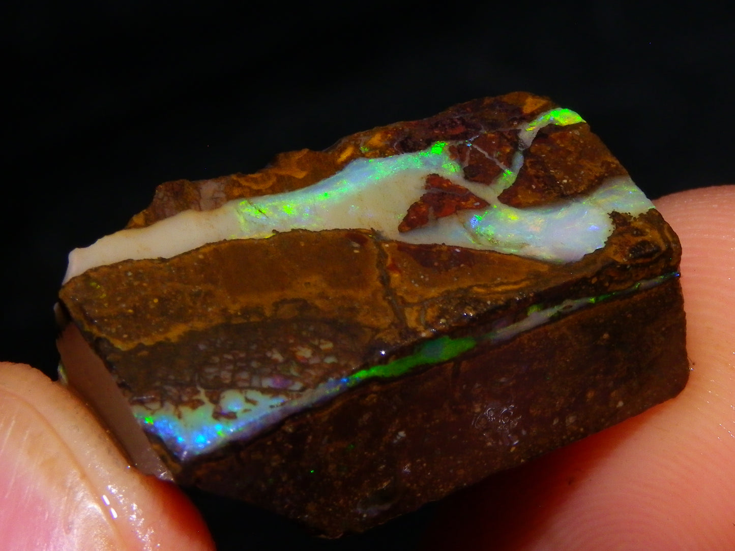 Nice Rough/Rubbed Boulder Opal Parcel 624cts Some Fires Caramel Potch/specimens