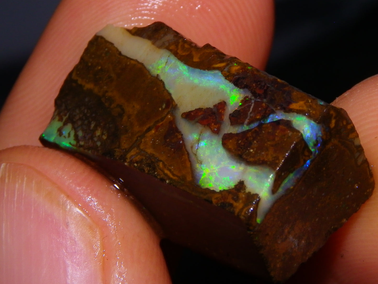 Nice Rough/Rubbed Boulder Opal Parcel 624cts Some Fires Caramel Potch/specimens