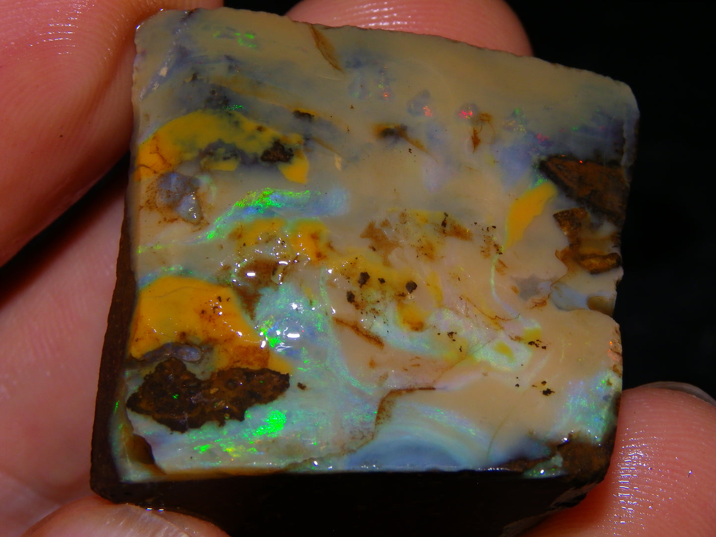Nice Rough/Rubbed Boulder Opal Parcel 624cts Some Fires Caramel Potch/specimens