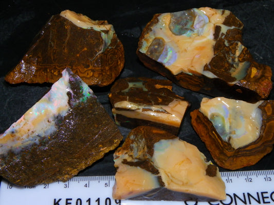 Nice Rough Boulder Opal specimens 2358cts Multicolours Ironstone Queensland Australia