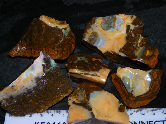 Nice Rough Boulder Opal specimens 2358cts Multicolours Ironstone Queensland Australia