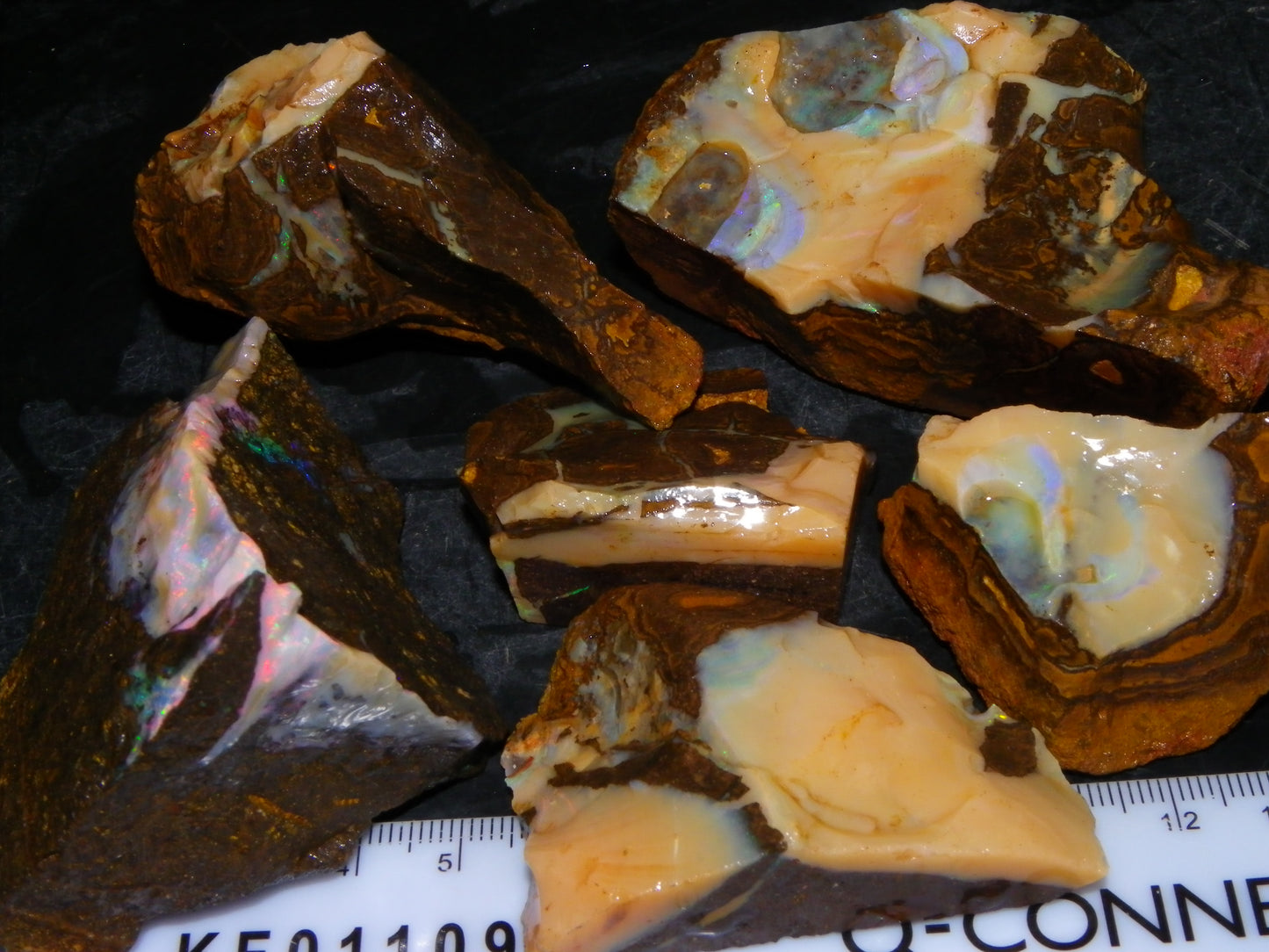 Nice Rough Boulder Opal specimens 2358cts Multicolours Ironstone Queensland Australia
