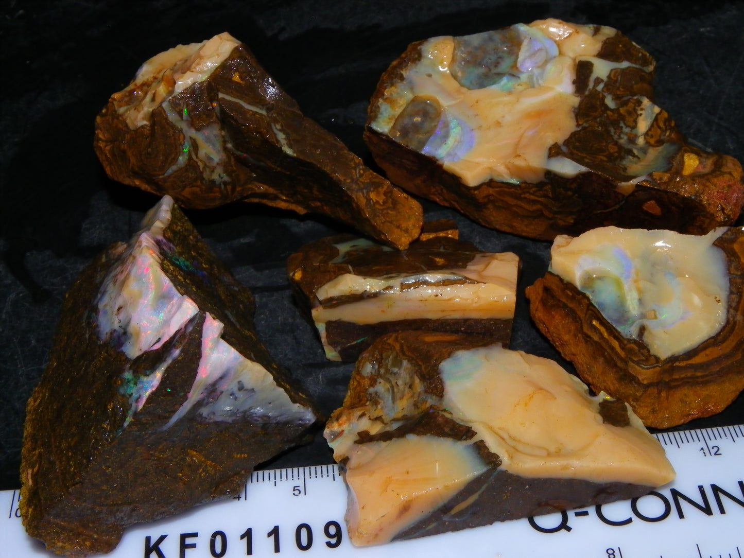 Nice Rough Boulder Opal specimens 2358cts Multicolours Ironstone Queensland Australia