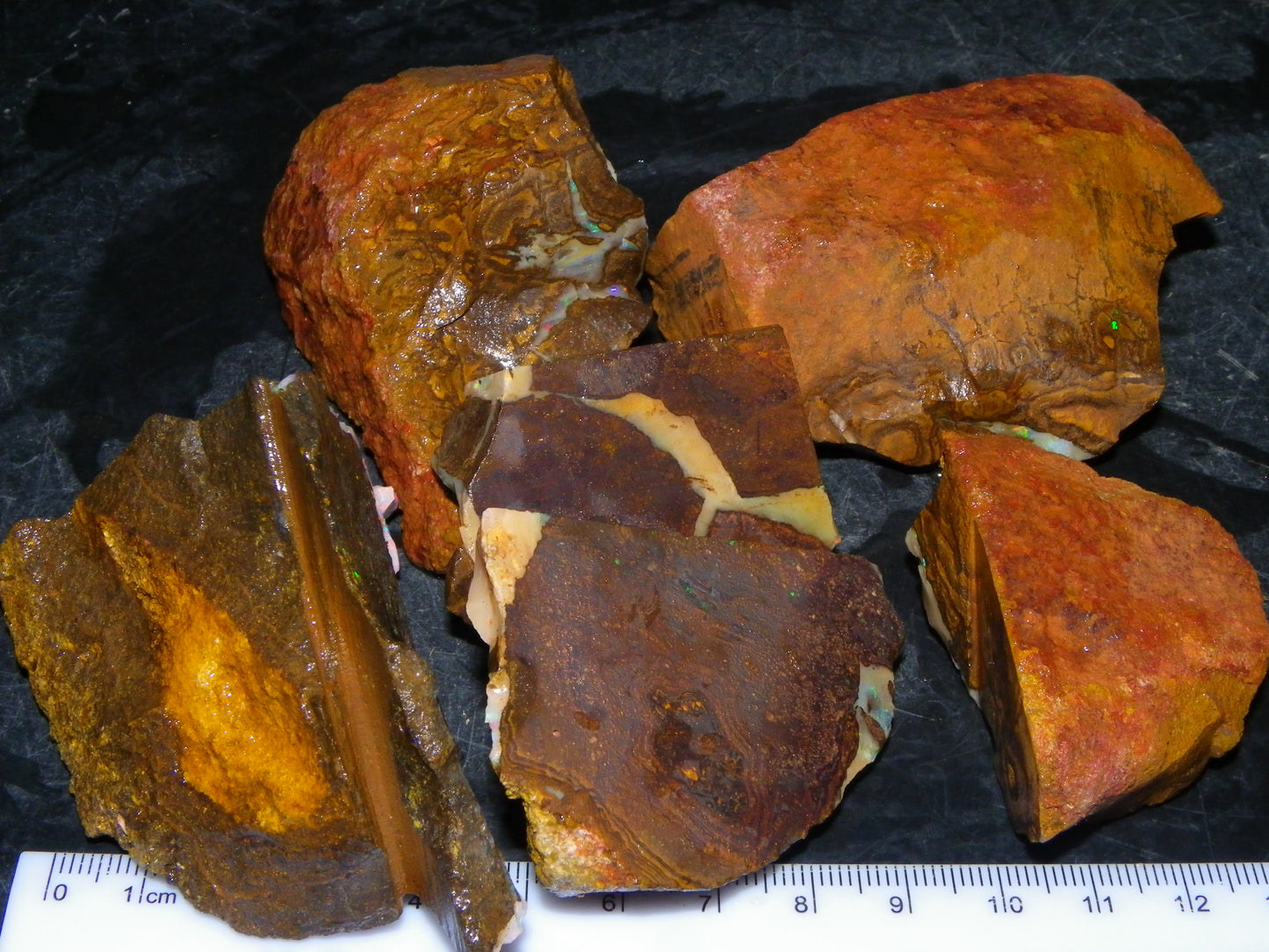 Nice Rough Boulder Opal specimens 2358cts Multicolours Ironstone Queensland Australia