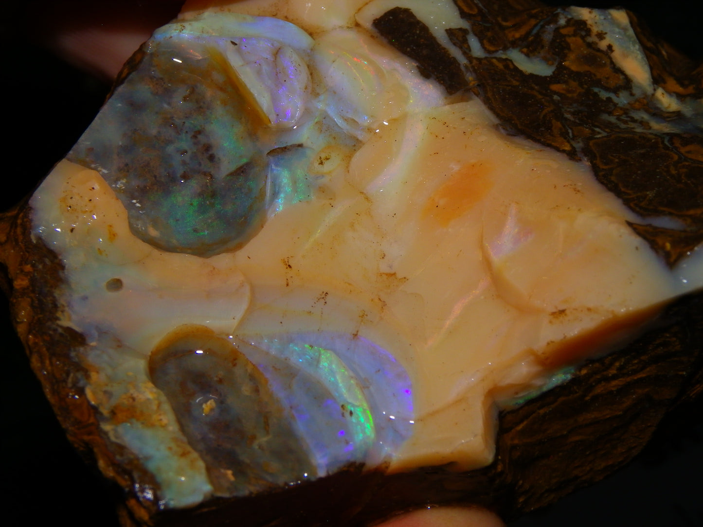 Nice Rough Boulder Opal specimens 2358cts Multicolours Ironstone Queensland Australia