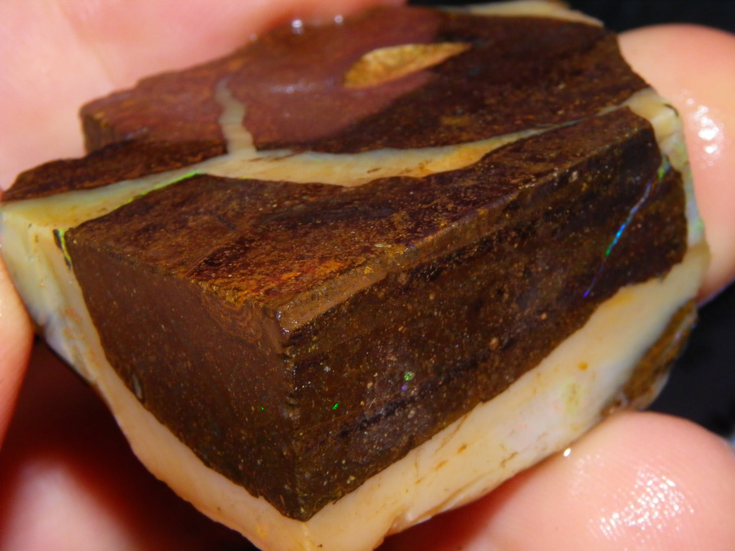 Nice Rough Boulder Opal specimens 2358cts Multicolours Ironstone Queensland Australia
