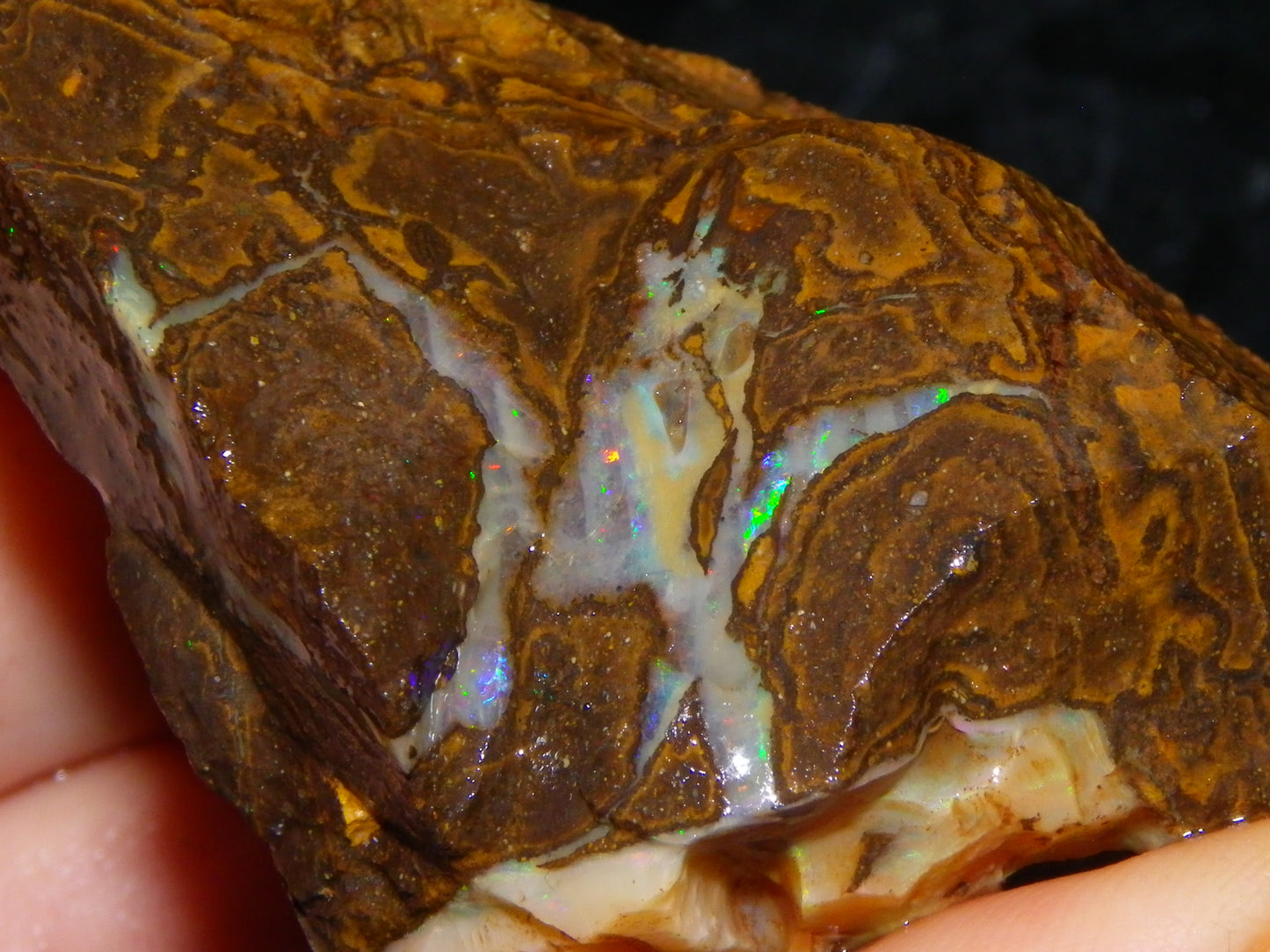 Nice Rough Boulder Opal specimens 2358cts Multicolours Ironstone Queensland Australia