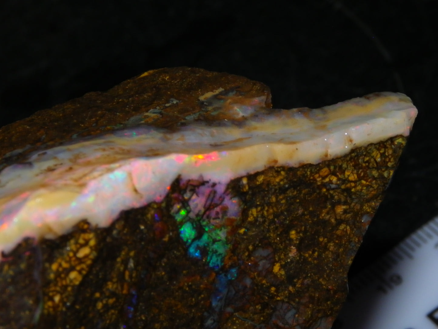 Nice Rough Boulder Opal specimens 2358cts Multicolours Ironstone Queensland Australia