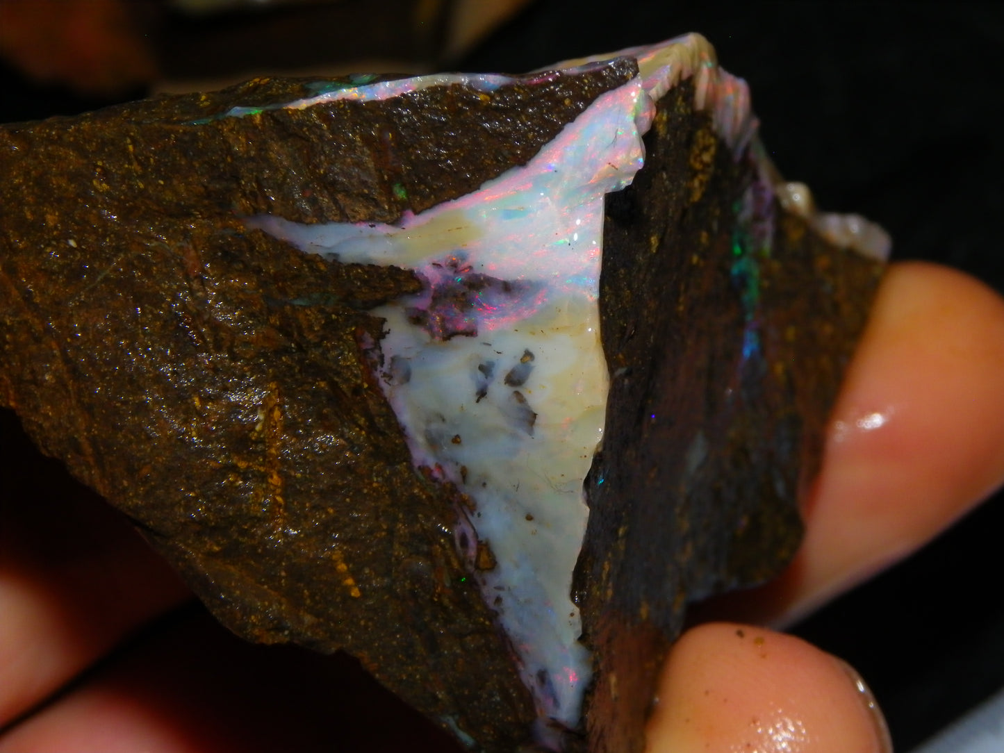Nice Rough Boulder Opal specimens 2358cts Multicolours Ironstone Queensland Australia