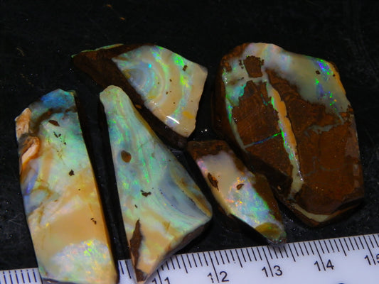 5 Nice Rubbed Boulder Opals 196cts Queensland Australia Patterns/Fires