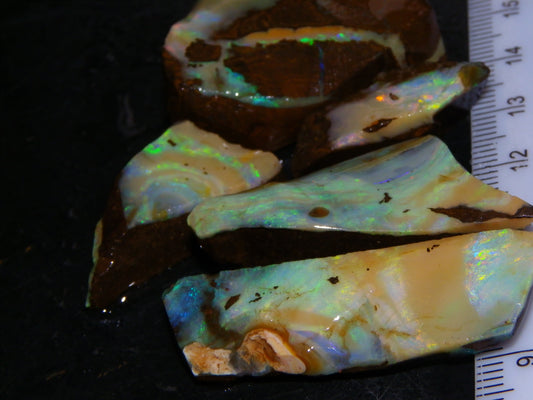 5 Nice Rubbed Boulder Opals 196cts Queensland Australia Patterns/Fires