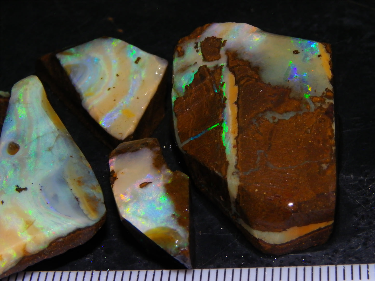 5 Nice Rubbed Boulder Opals 196cts Queensland Australia Patterns/Fires