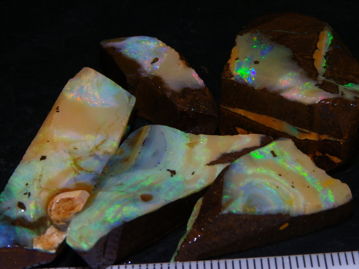 5 Nice Rubbed Boulder Opals 196cts Queensland Australia Patterns/Fires