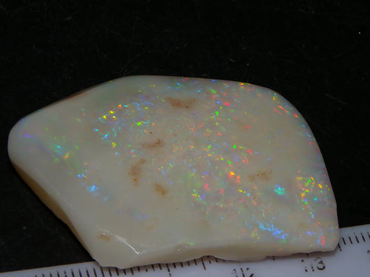 Very Nice Rubbed/Part Polished Coober Pedy Seam Opal 64.03cts Multicolour Fires Australia