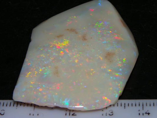 Very Nice Rubbed/Part Polished Coober Pedy Seam Opal 64.03cts Multicolour Fires Australia