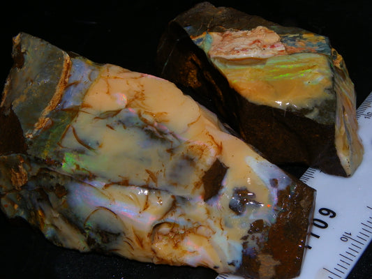 2 Nice Rough Boulder Opal Specimens 2704cts Queensland Australia Some Fires/Patterns