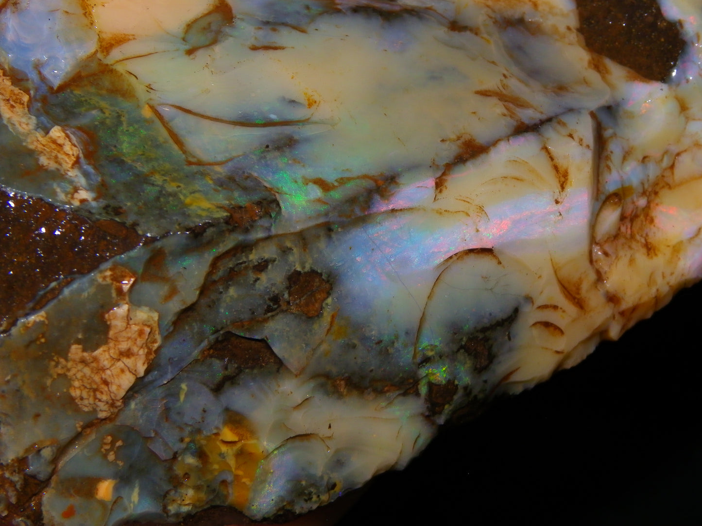 2 Nice Rough Boulder Opal Specimens 2704cts Queensland Australia Some Fires/Patterns