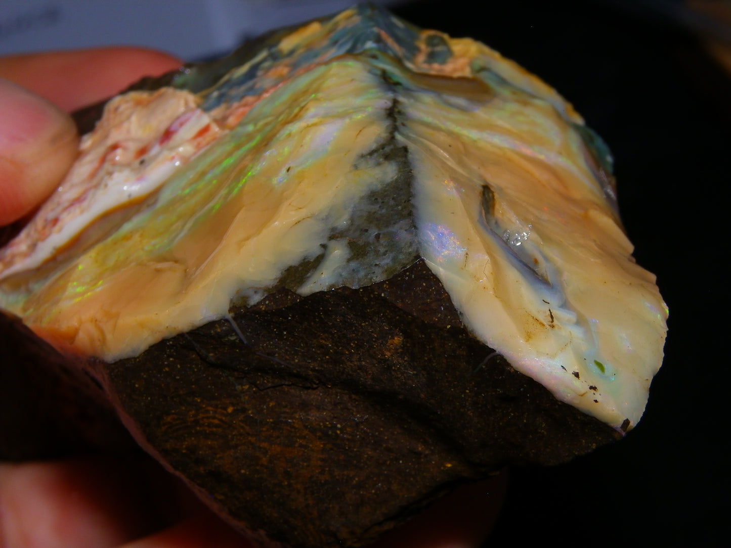 2 Nice Rough Boulder Opal Specimens 2704cts Queensland Australia Some Fires/Patterns