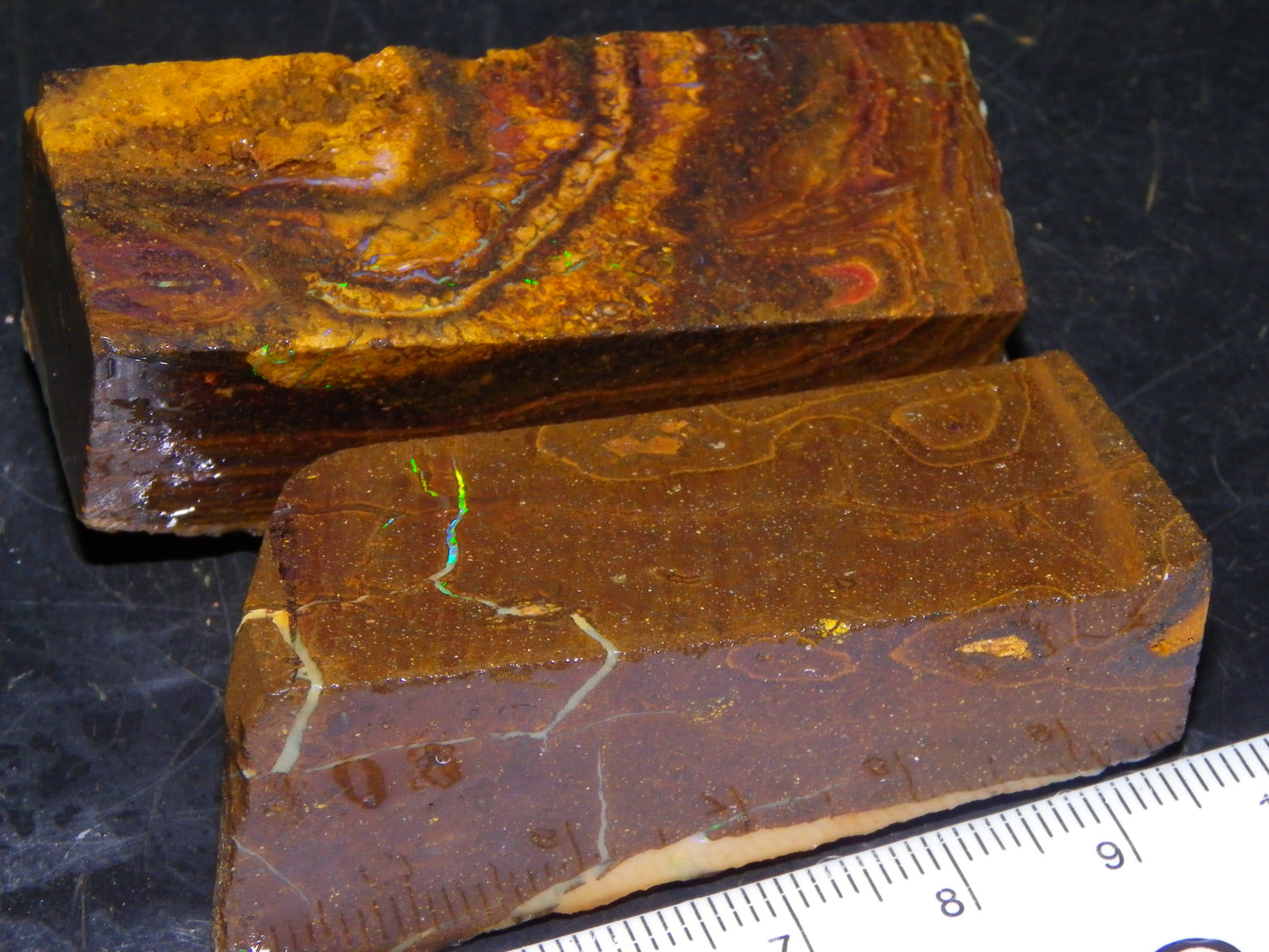 Nice Rough Sliced/Split Boulder Opals 578cts Green/Gold Stripes/Fires Some Reds