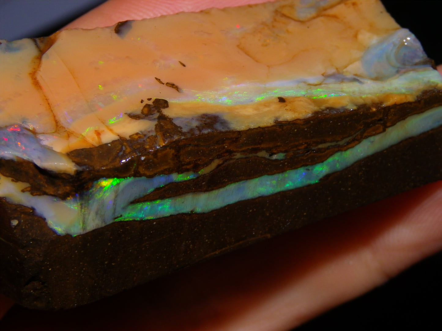 Nice Rough Sliced/Split Boulder Opals 578cts Green/Gold Stripes/Fires Some Reds