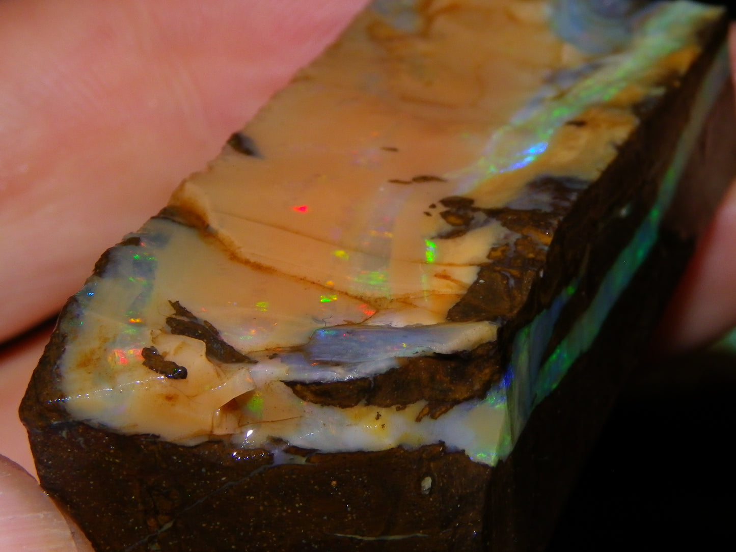 Nice Rough Sliced/Split Boulder Opals 578cts Green/Gold Stripes/Fires Some Reds
