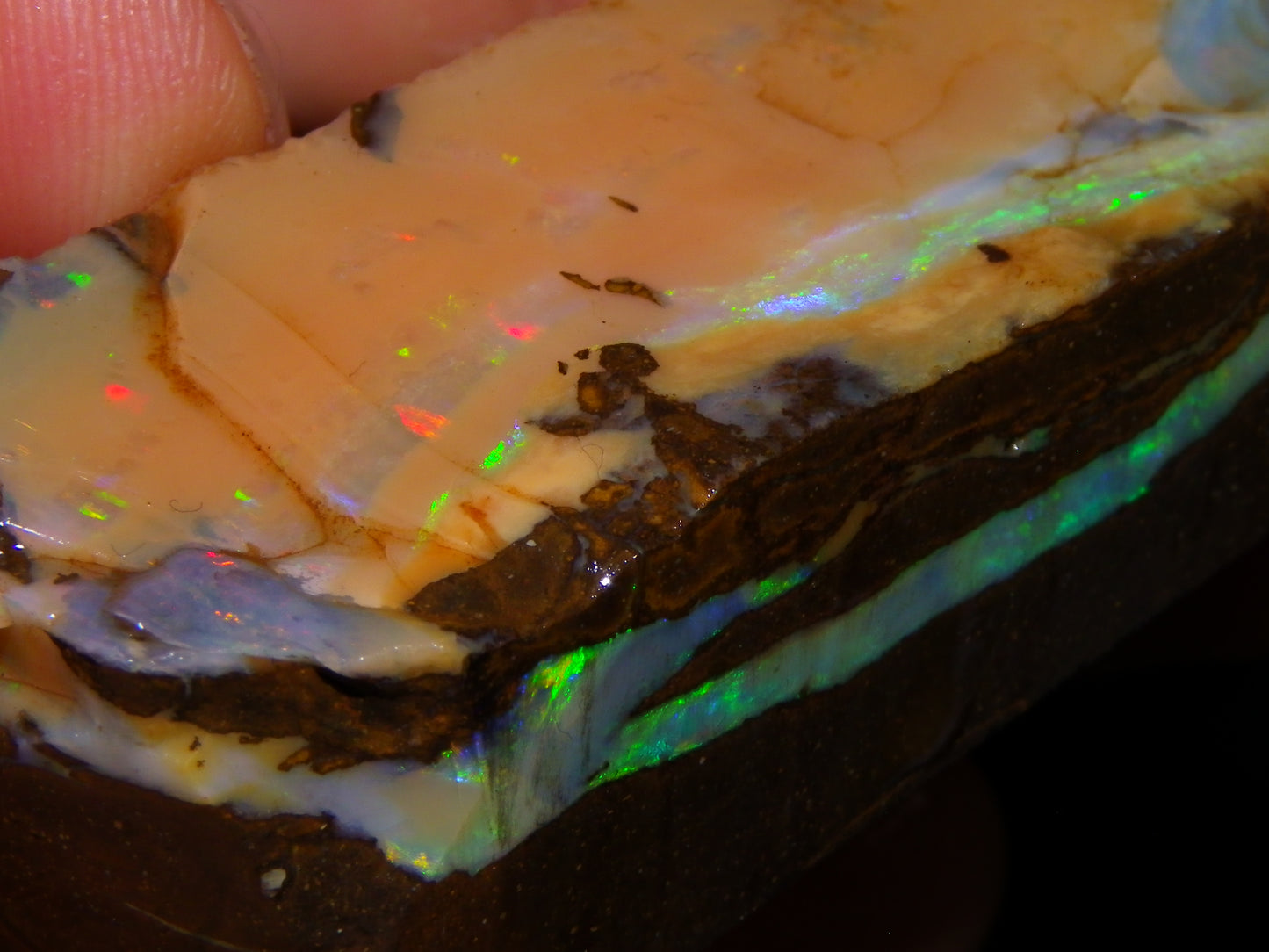 Nice Rough Sliced/Split Boulder Opals 578cts Green/Gold Stripes/Fires Some Reds