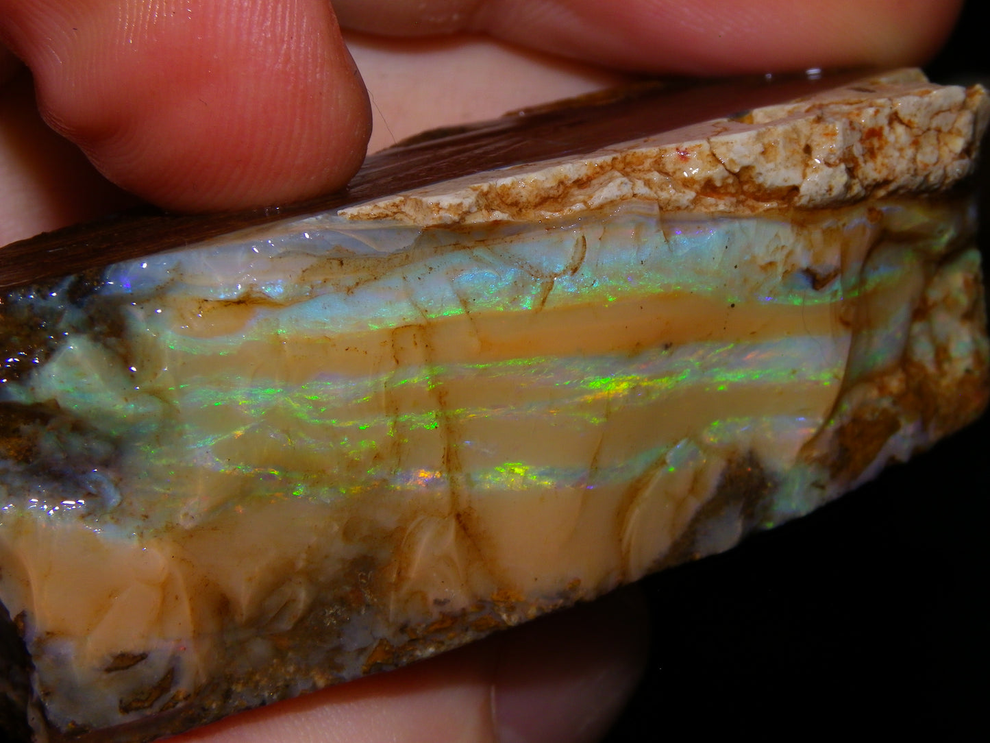 Nice Rough Sliced/Split Boulder Opals 578cts Green/Gold Stripes/Fires Some Reds