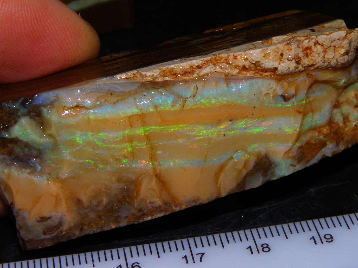 Nice Rough Sliced/Split Boulder Opals 578cts Green/Gold Stripes/Fires Some Reds