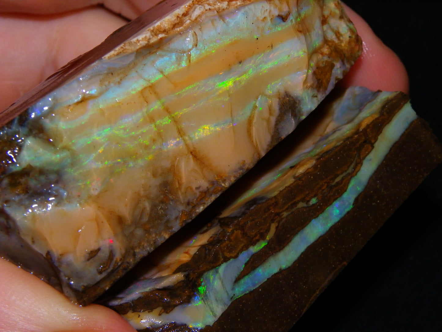 Nice Rough Sliced/Split Boulder Opals 578cts Green/Gold Stripes/Fires Some Reds