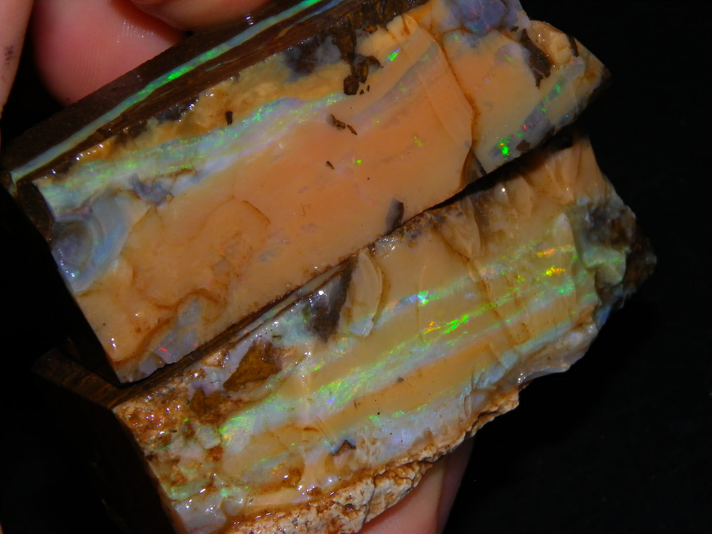 Nice Rough Sliced/Split Boulder Opals 578cts Green/Gold Stripes/Fires Some Reds