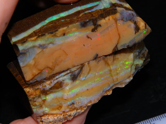 Nice Rough Sliced/Split Boulder Opals 578cts Green/Gold Stripes/Fires Some Reds