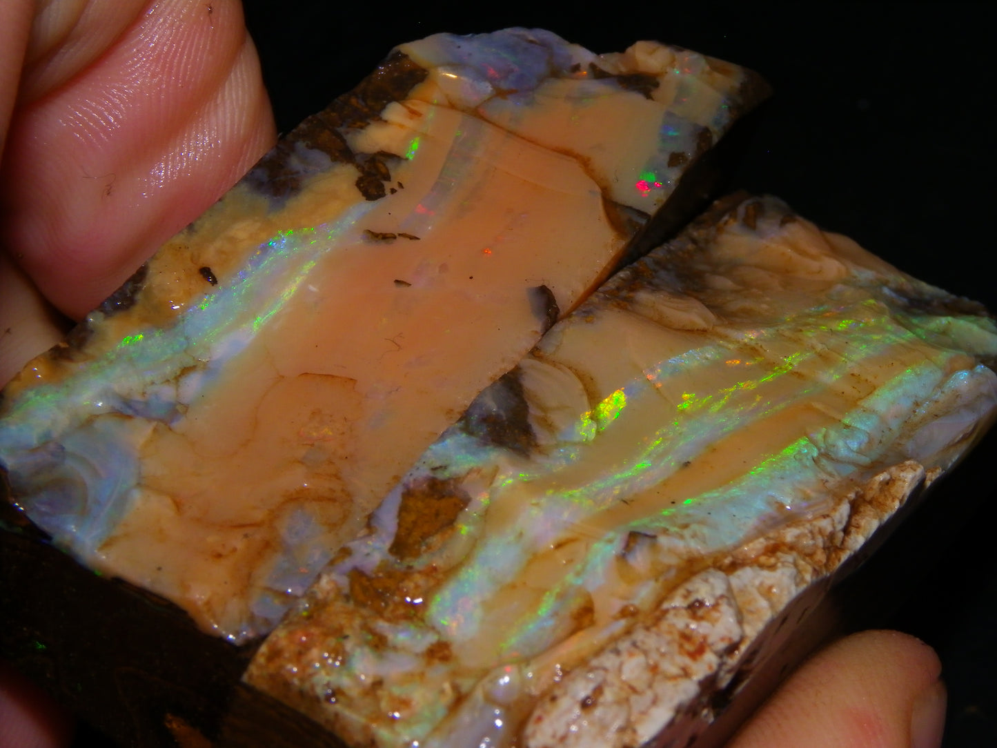Nice Rough Sliced/Split Boulder Opals 578cts Green/Gold Stripes/Fires Some Reds