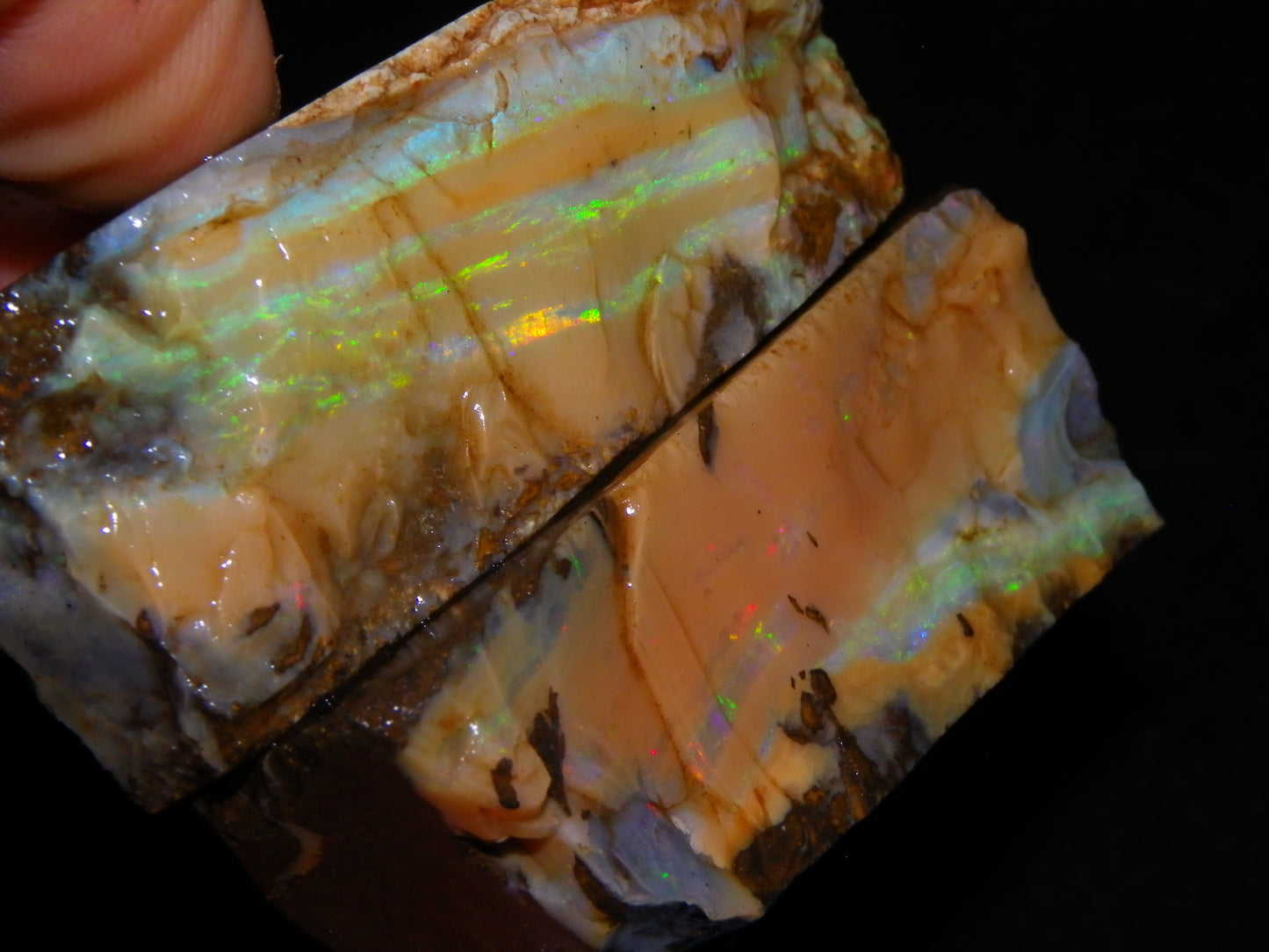 Nice Rough Sliced/Split Boulder Opals 578cts Green/Gold Stripes/Fires Some Reds