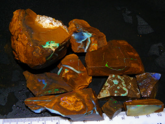 Nice Rubbed/Rough/Sliced Boulder Opals 1385cts Some Veins/Fires Green/Blues