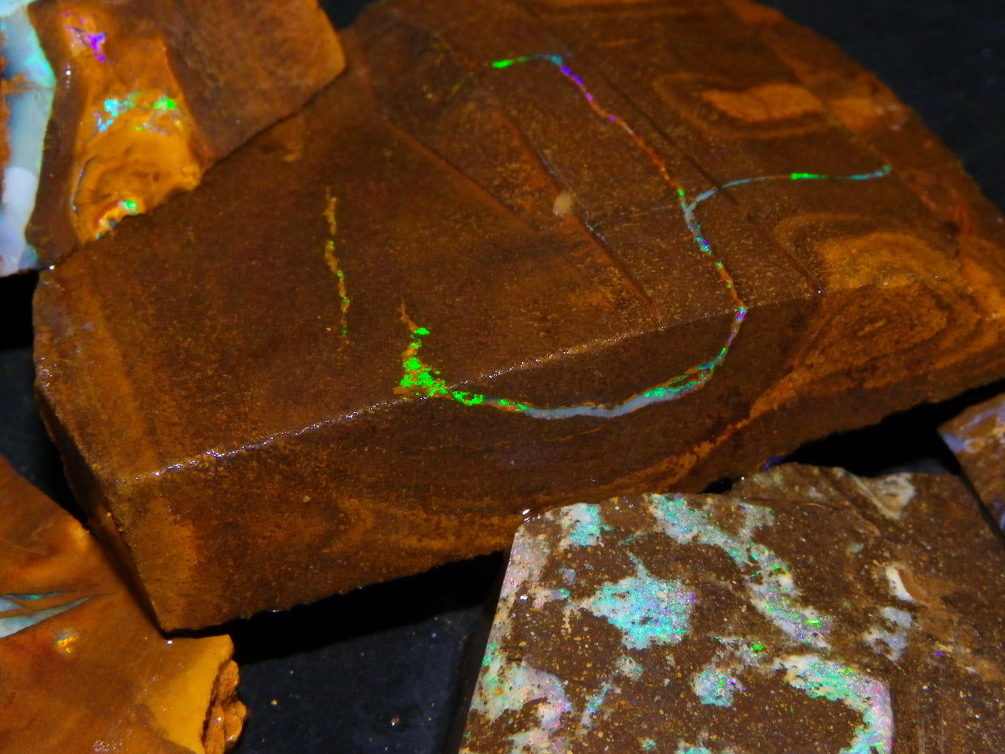 Nice Rubbed/Rough/Sliced Boulder Opals 1385cts Some Veins/Fires Green/Blues