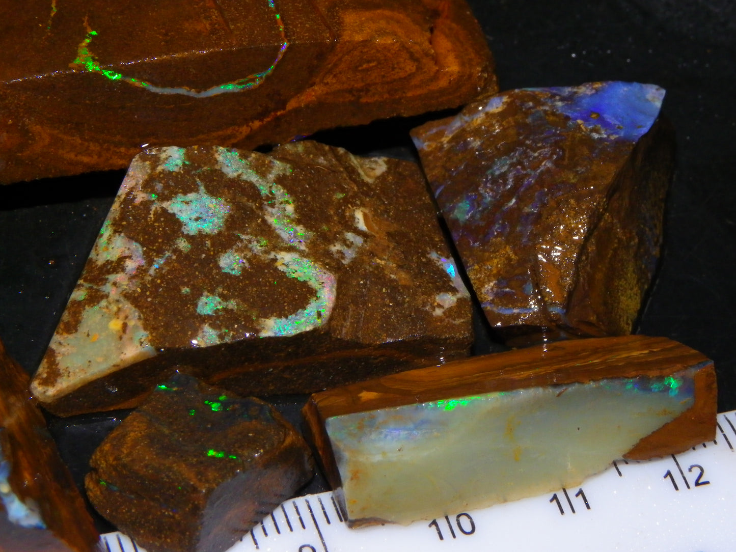 Nice Rubbed/Rough/Sliced Boulder Opals 1385cts Some Veins/Fires Green/Blues