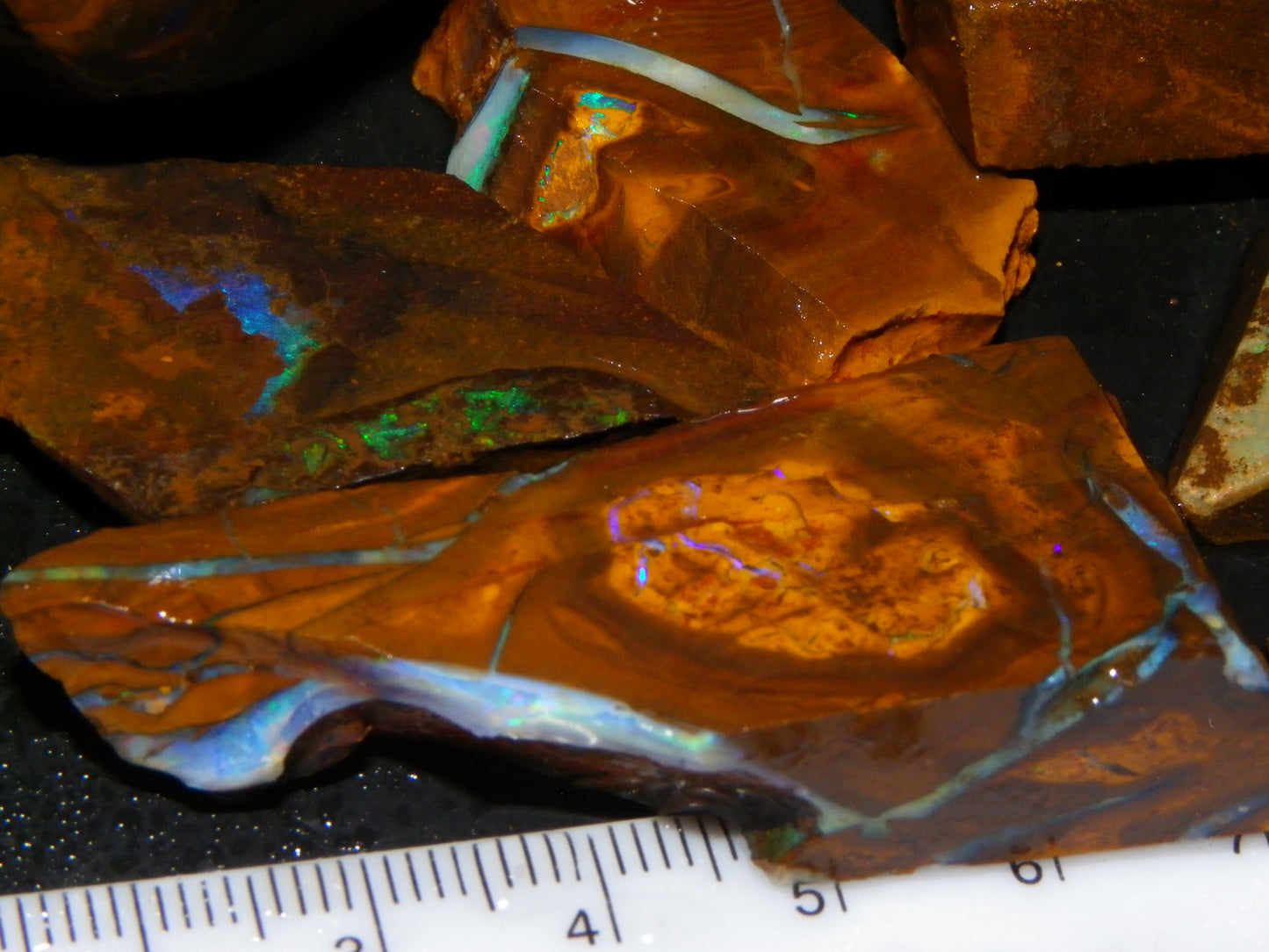 Nice Rubbed/Rough/Sliced Boulder Opals 1385cts Some Veins/Fires Green/Blues