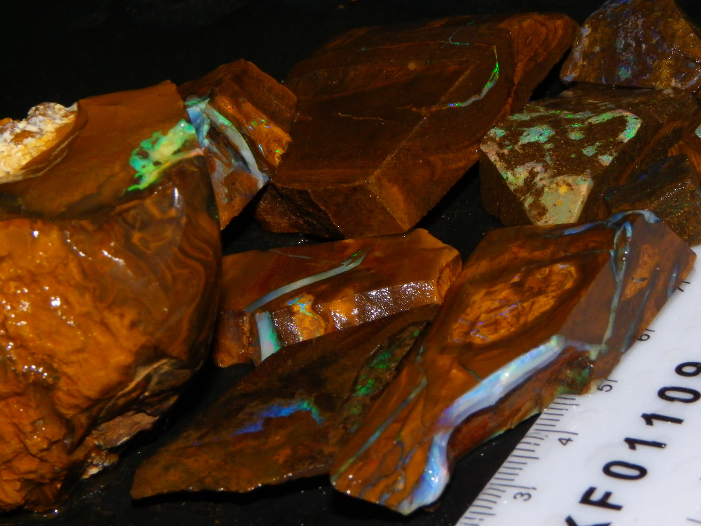 Nice Rubbed/Rough/Sliced Boulder Opals 1385cts Some Veins/Fires Green/Blues